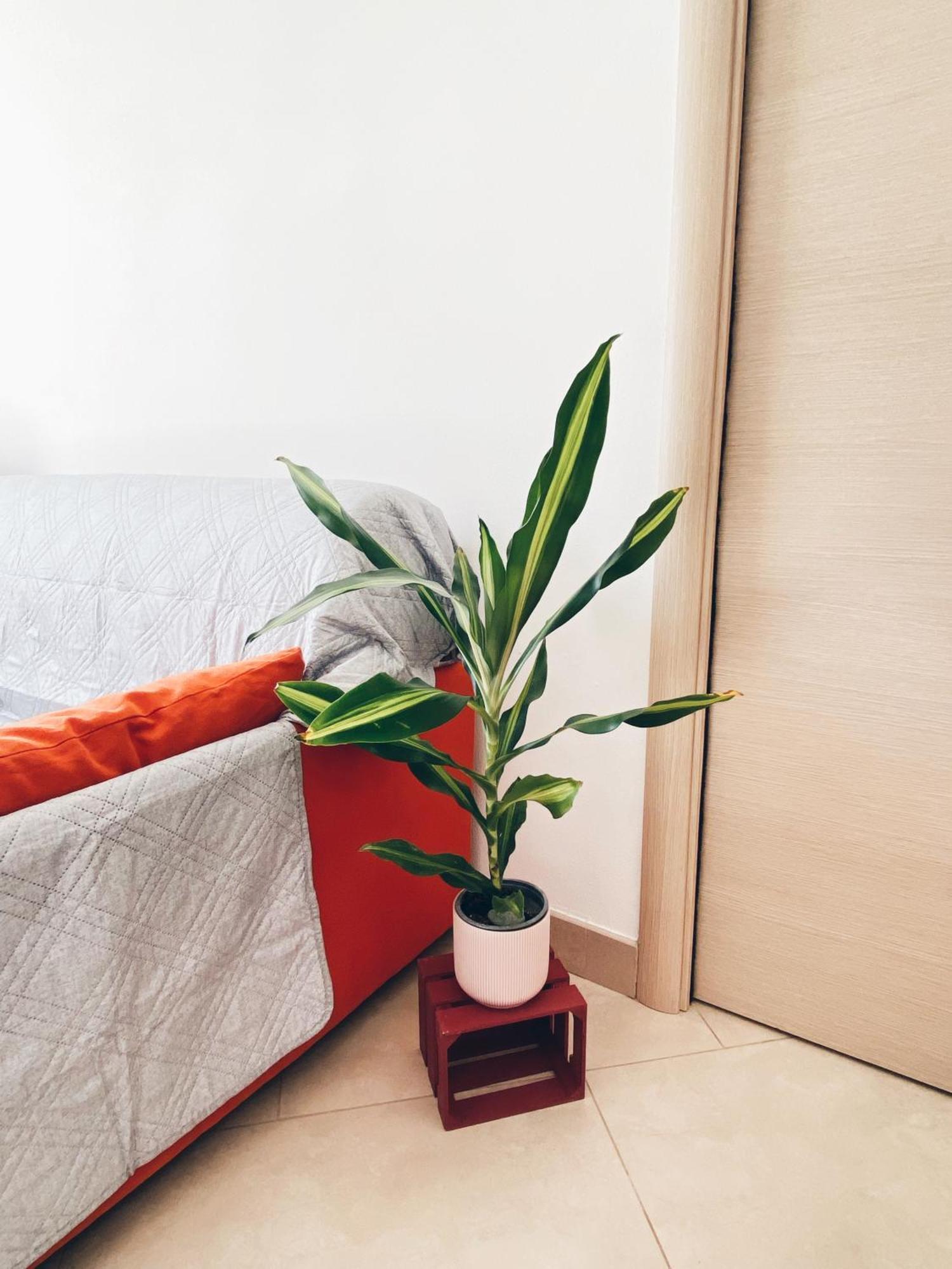 Apartment In Siena With Private Parking Exterior foto